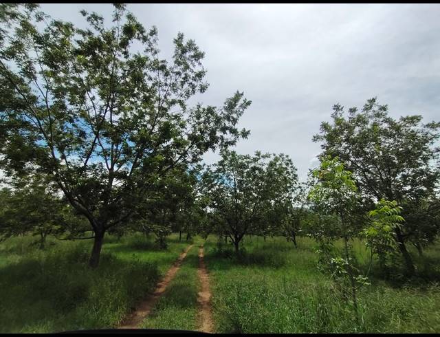 96HA FARM FOR SALE IN HEKPOORT